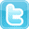 http://www.neverrunoutofcash.com/twitter-icon.gif